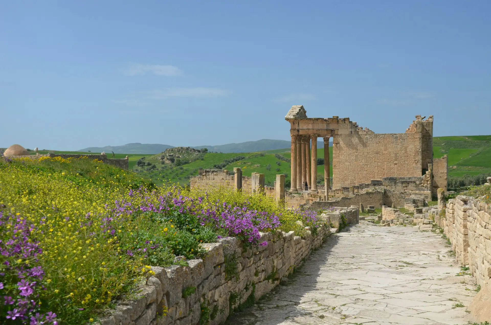 The Capitol of Dougga above a Roman street lined with spring wildflowers
